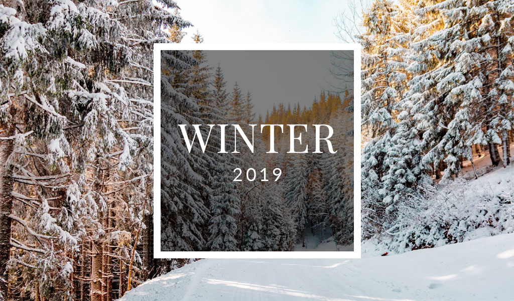 Welch Times – Winter Newsletter 2019